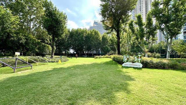 施行一周“升级版”游园带来哪些“乐与痛”?开元棋牌app遛狗、帐篷……上海公园新规(图3) 施行一周“升级版”游园带来哪些“乐与痛”?开元棋牌app遛狗、帐篷……上海公园新规(图3)